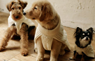 Organic knit cape