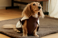 Tanned leather collar