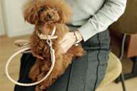 Square tote carry
