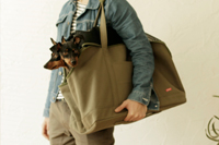 Treats bag