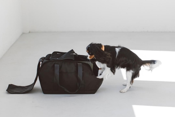 フリースティッチ バルコディ スクエア トート L サイズ フリーステッチのキャリーバッグ「スクエアトート」買った