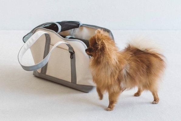 ���������ȡ��� �����Х� �ġ��ȥ�