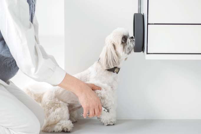 ڤʤɡ뤪äε򤽤餷Ȥ