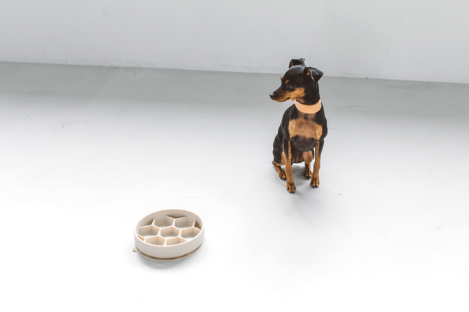 餫ǺǤ䤵ȤϡŻҥ󥸡OKǰ䤹