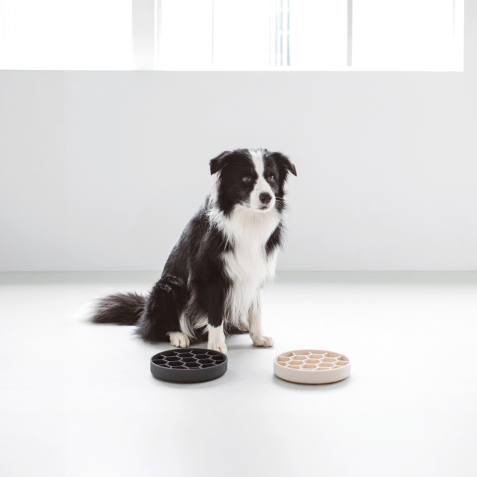 Recommended Silicone Slow Feeder