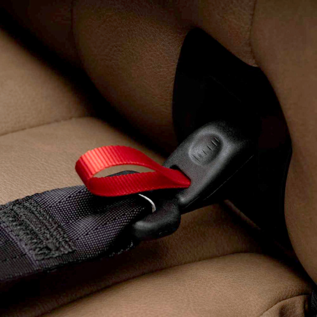 中型犬から大型犬のキャリー用シートベルトのようにつつみ込んで固定します