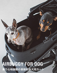 air buggy for dog