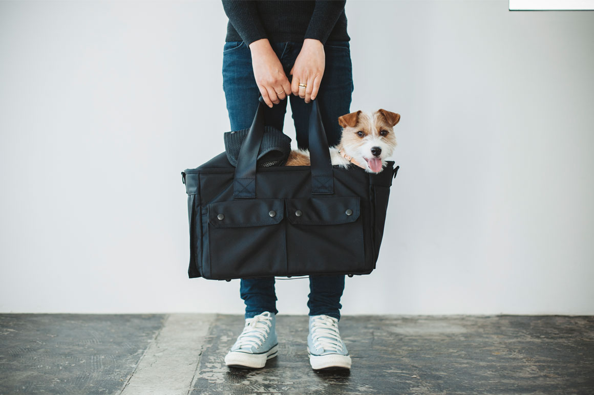 ジャックラッセルテリア歴史 Blog フリーステッチ Free Stitch