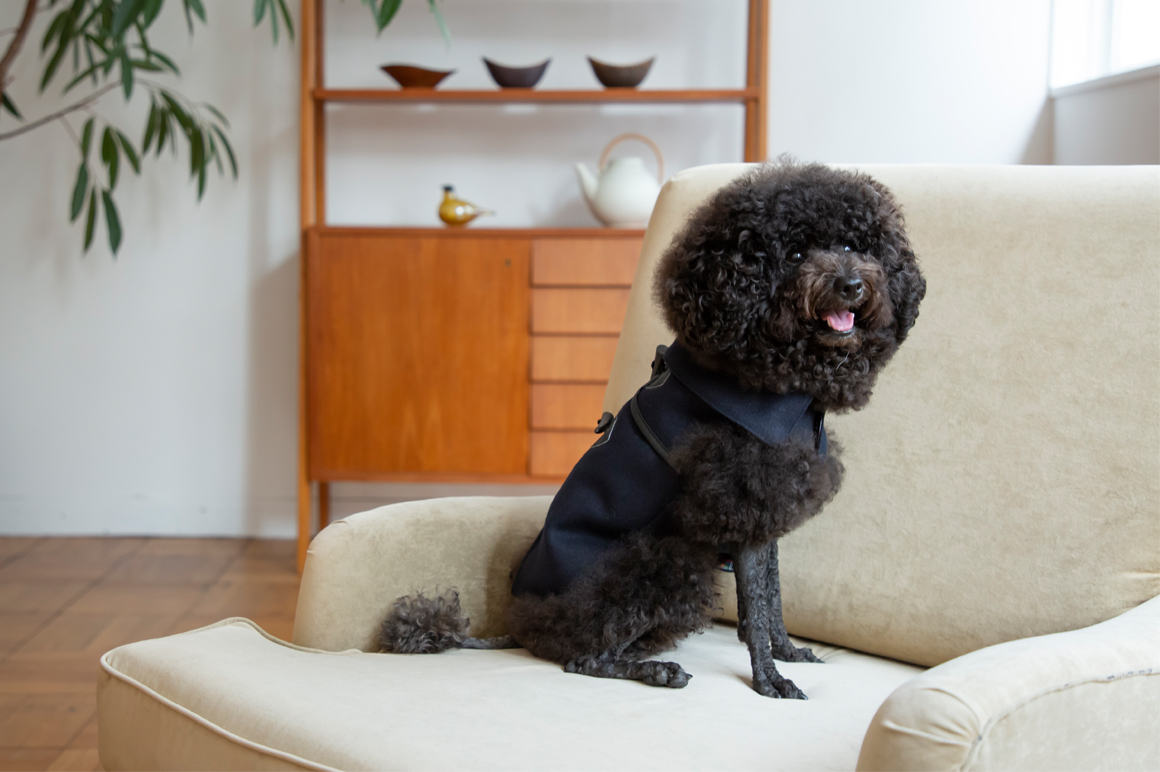Poodle Meet Up 出店者紹介 Blog フリーステッチ Free Stitch Poodle Meet Up 出店者紹介 Blog フリーステッチ Free Stitch