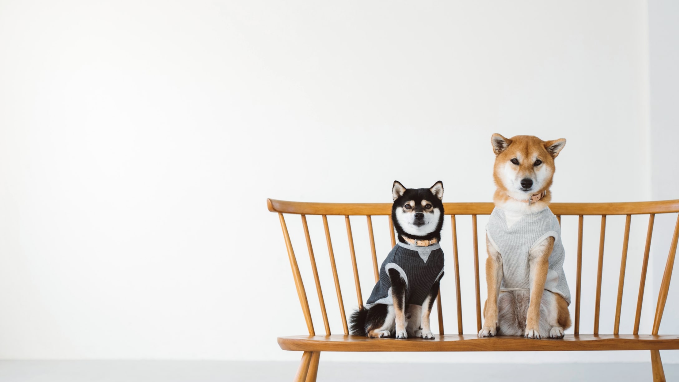 Shiba Meetup フリーステッチ Free Stitch Shiba Meetup フリーステッチ Free Stitch