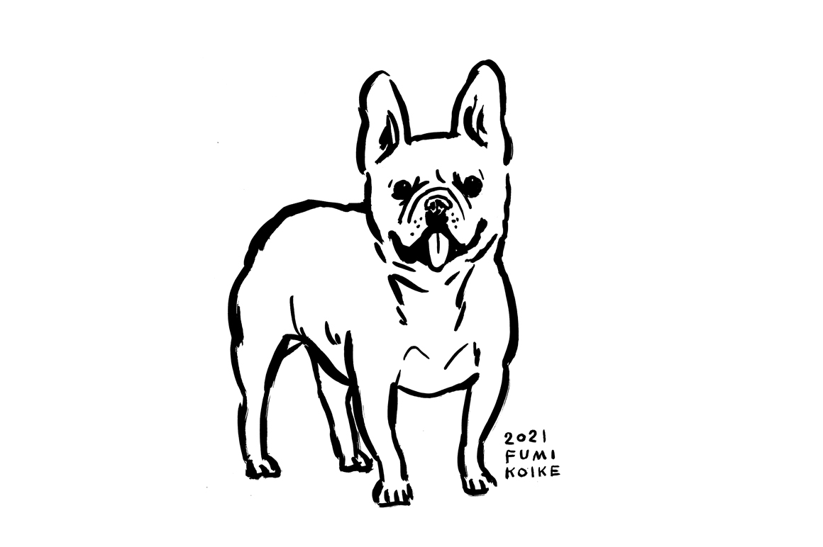 イラスト French Bulldog Blog フリーステッチ Free Stitch