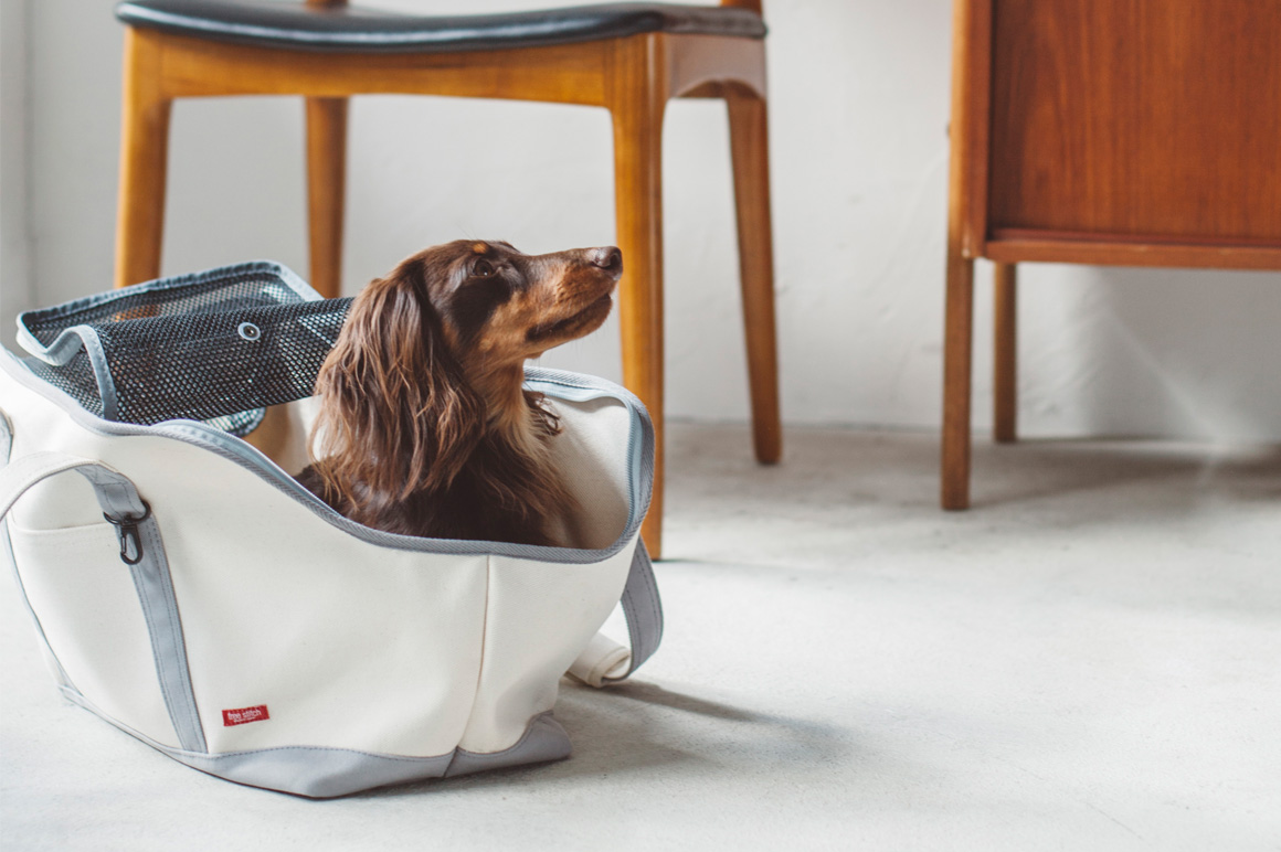 この犬種は愛玩犬種のグループに入ったほうがよくない？