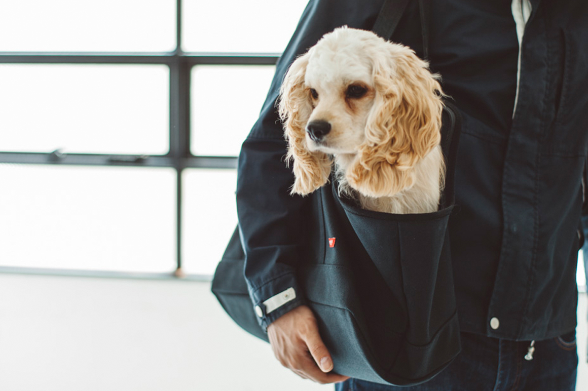 中型犬 お正月の年賀状撮影などに 犬服 ペット 結婚式 正月 正装 Airbaloon 七五三 コーギー 着物 フレンチブルドッグ 柴犬 和装 干支 猫服 袴 晴れ着 グッズ 年賀状 おしゃれ 犬 日本男児 など 黒コッカー スパニエル冬雪の結晶クリスマス ストッキング Vladatk