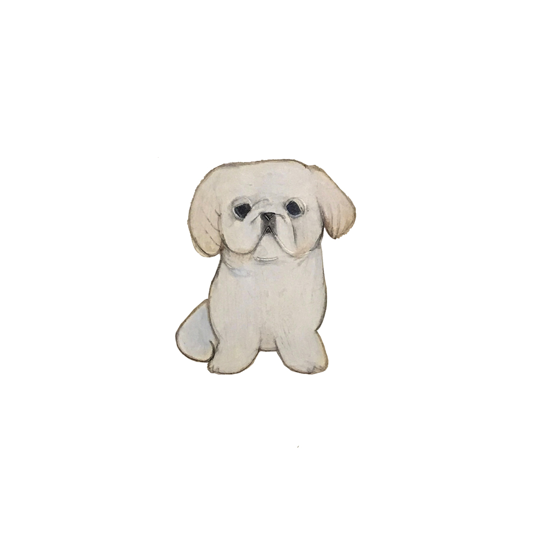 犬 イラスト coricci コリッチ