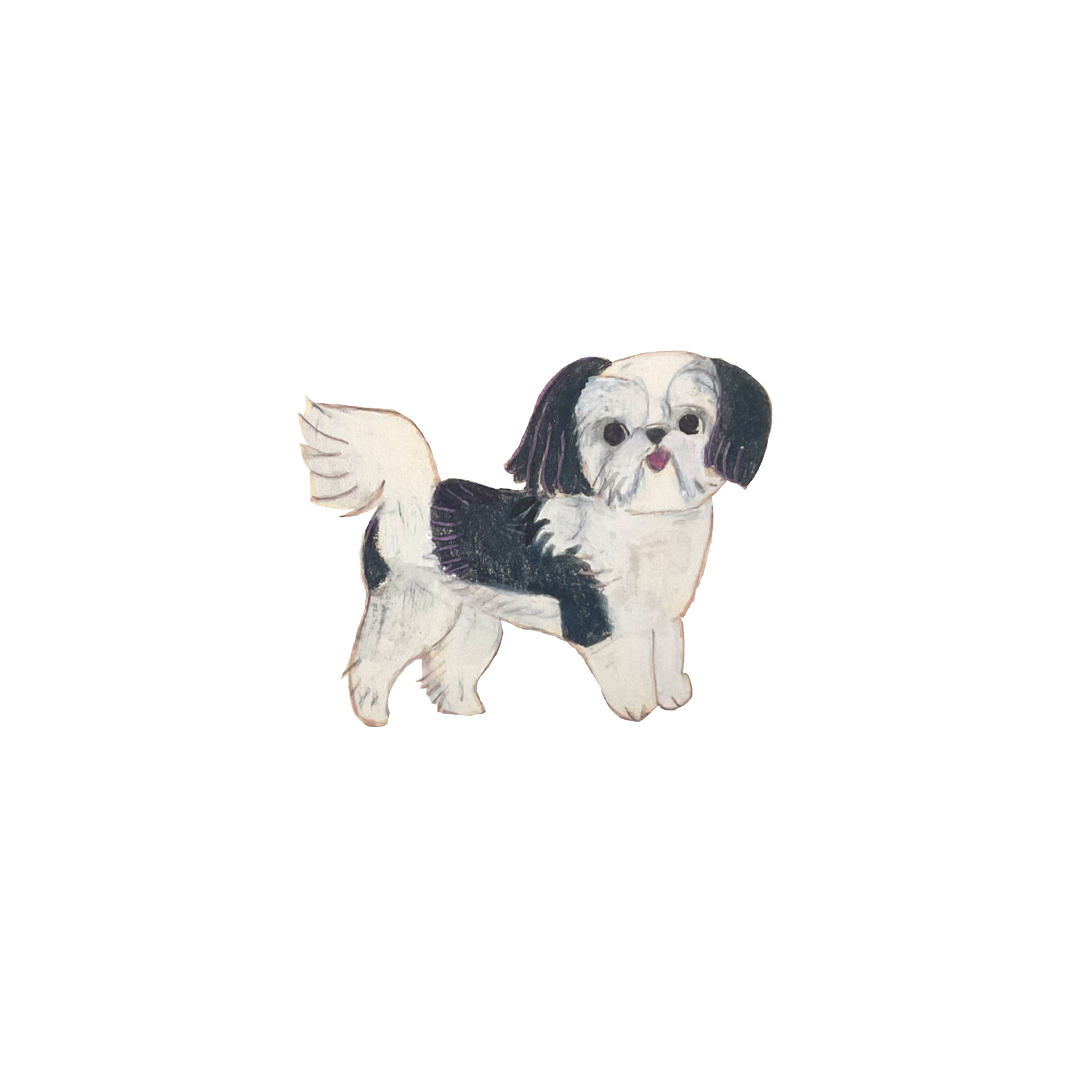 dog meet up event Shih-Tzu festival ドッグフェス 犬 野外イベント シーズー フェスティバル オフ会 イラスト