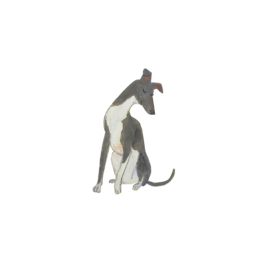 dog meet up event fItalian Greyhound festival ドッグフェス 犬 野外イベント イタリアングレーハウンドフェスティバル イタグレフェス イタグレ イタリアングレーハウンド フェスティバル オフ会