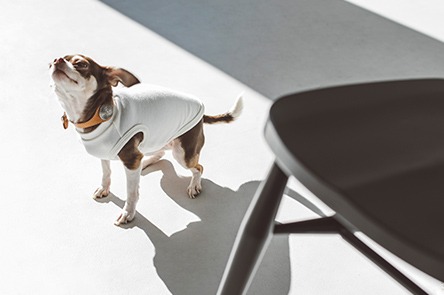 About delivery delay