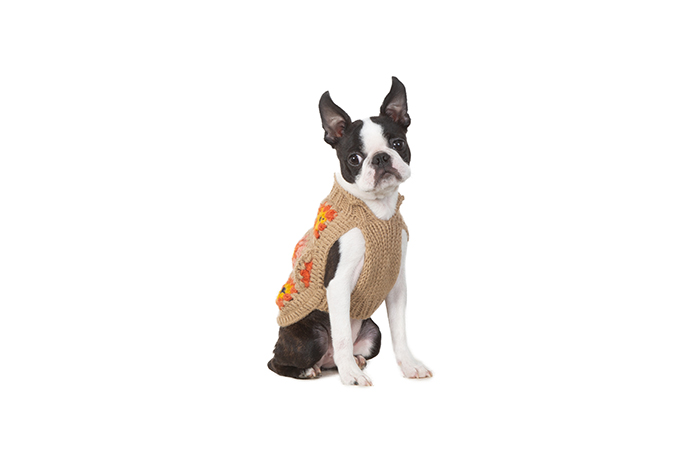 Meet up dog photo gallery | フリーステッチ free stitch
