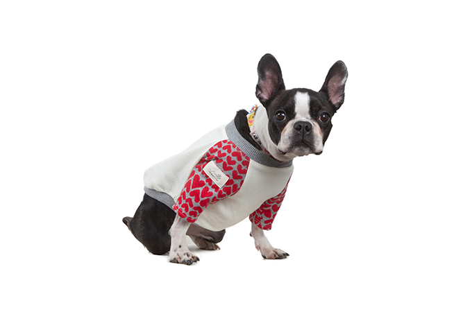 ランキングや新製品 Meet up stitch free フリーステッチ | gallery photo dog アンティーク雑貨