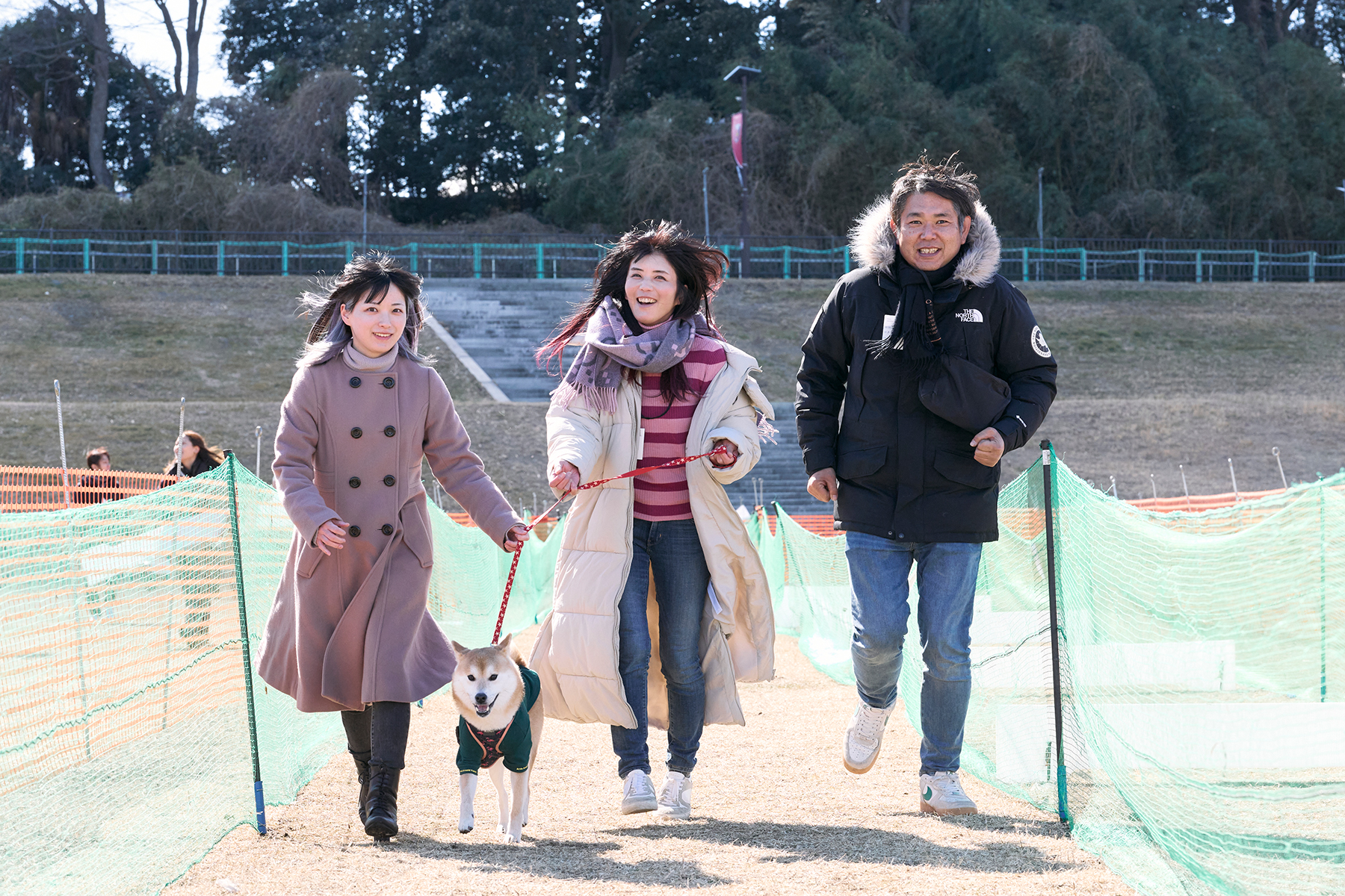 家族でダッシュ撮影(Shiba Autumn)