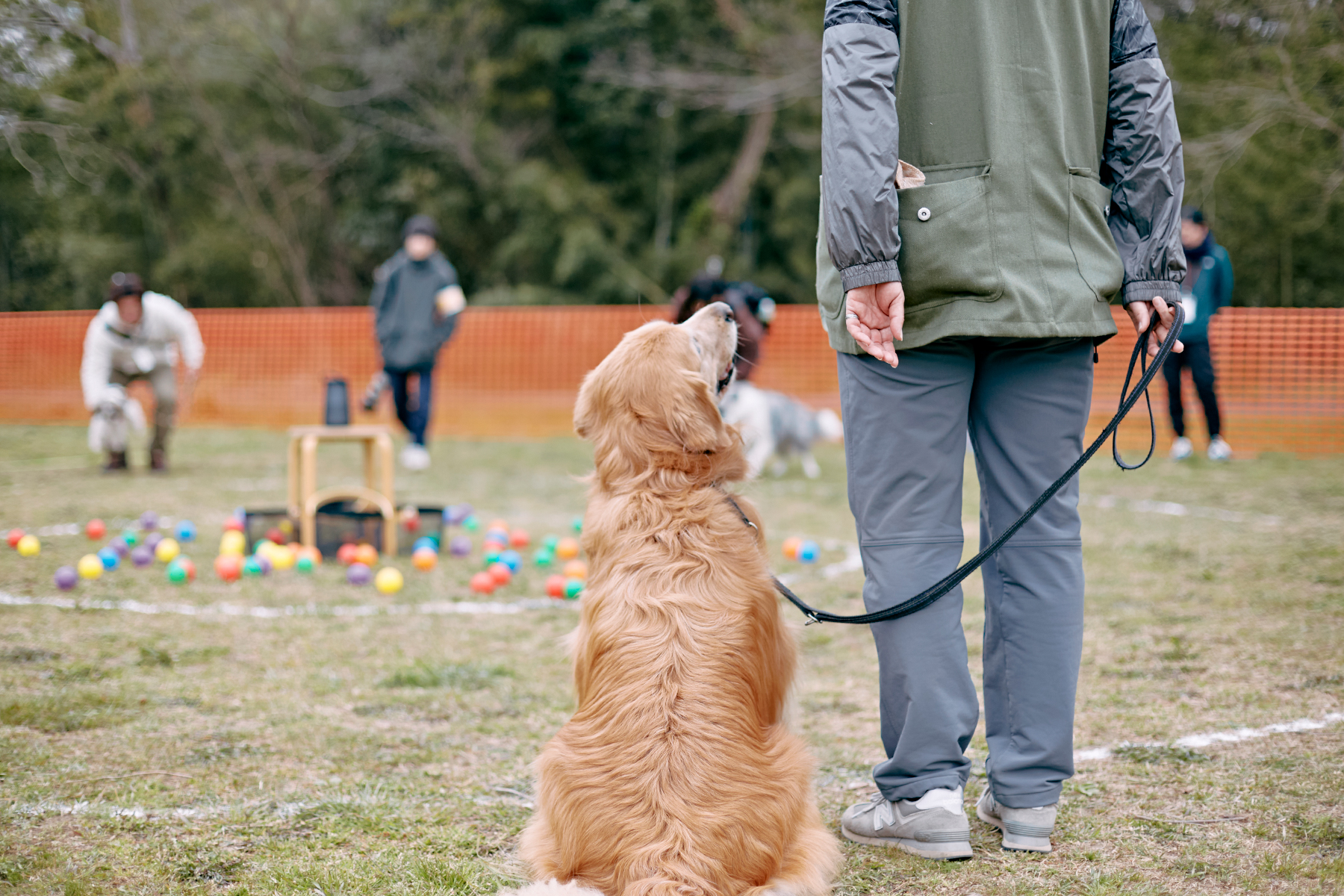 ボール取りゲーム(Retriever)