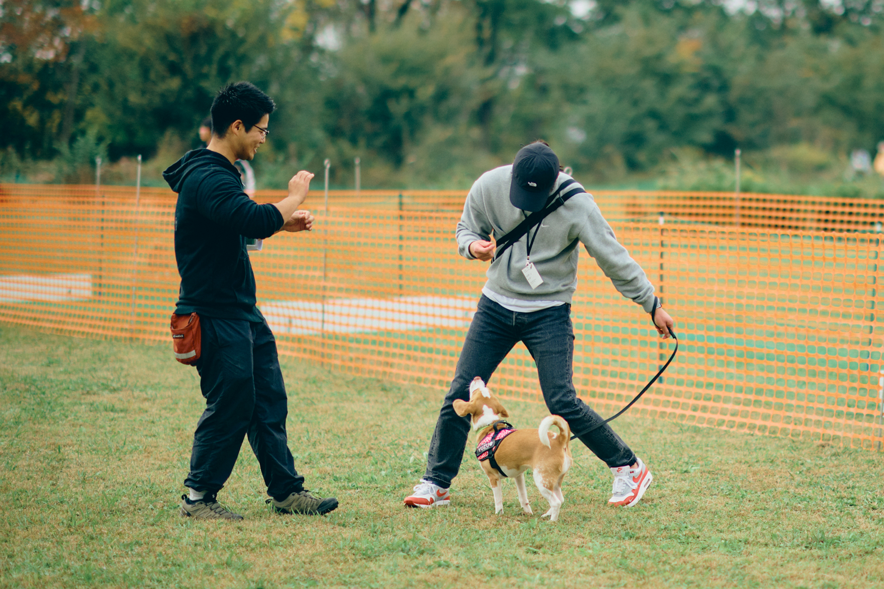 フィールドコンテンツ紹介(Beagle)