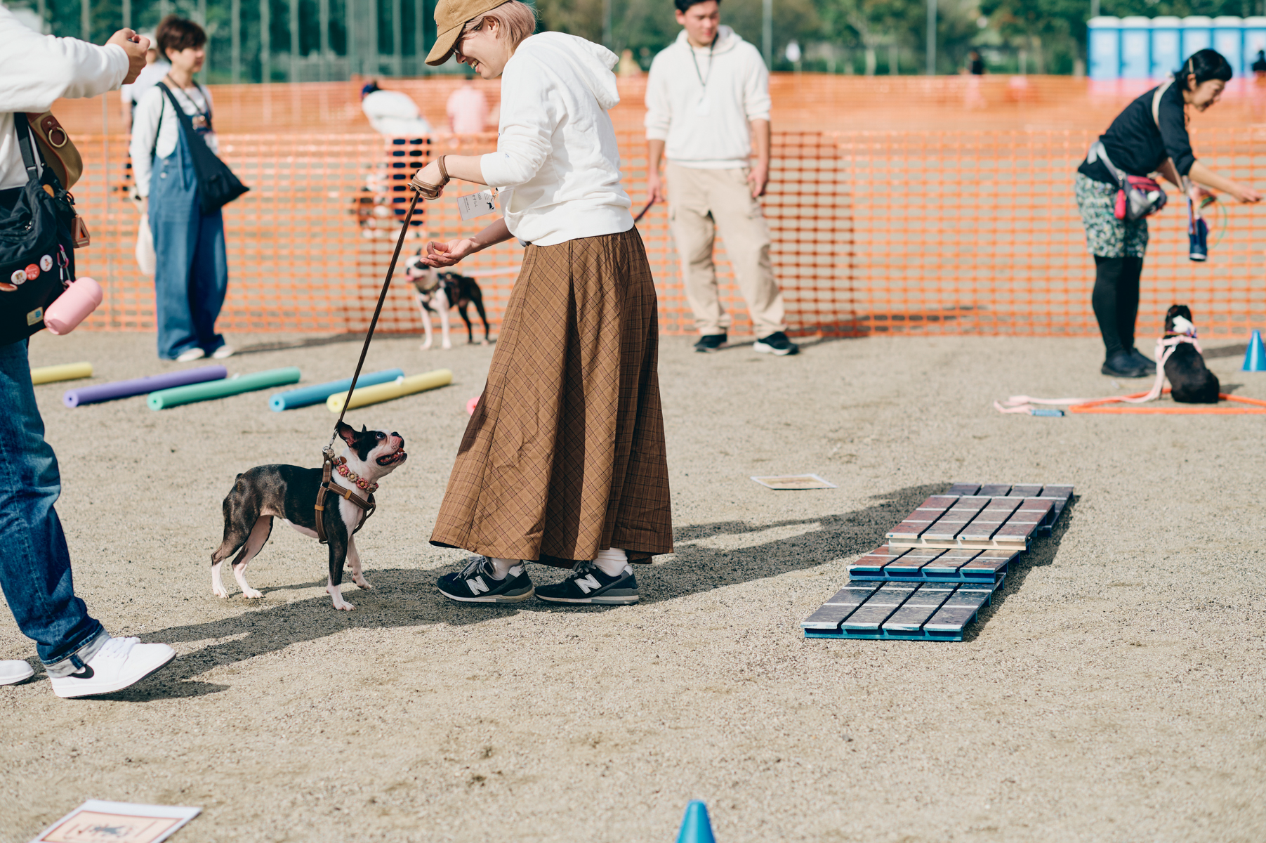 わんわんアドベンチャー