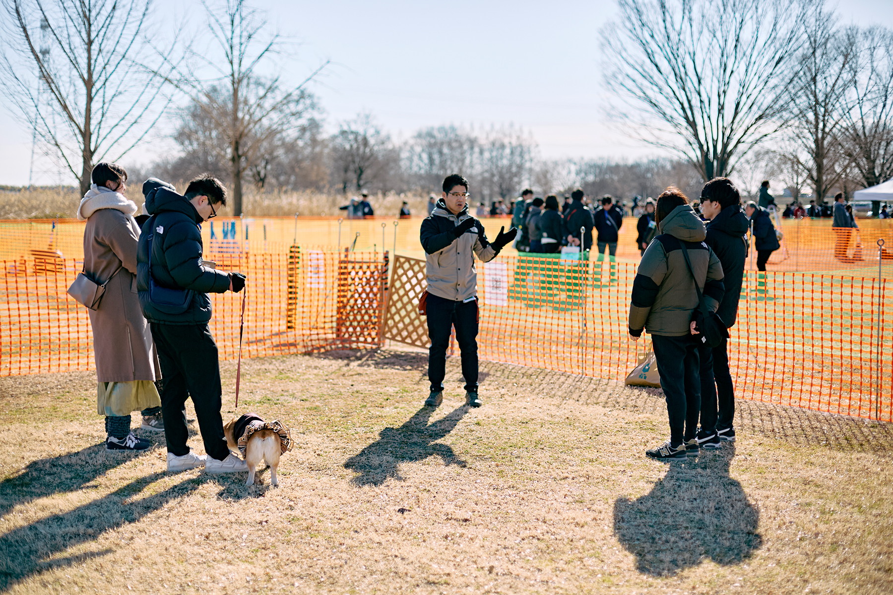 フィールドコンテンツ紹介(Corgi Autumn)