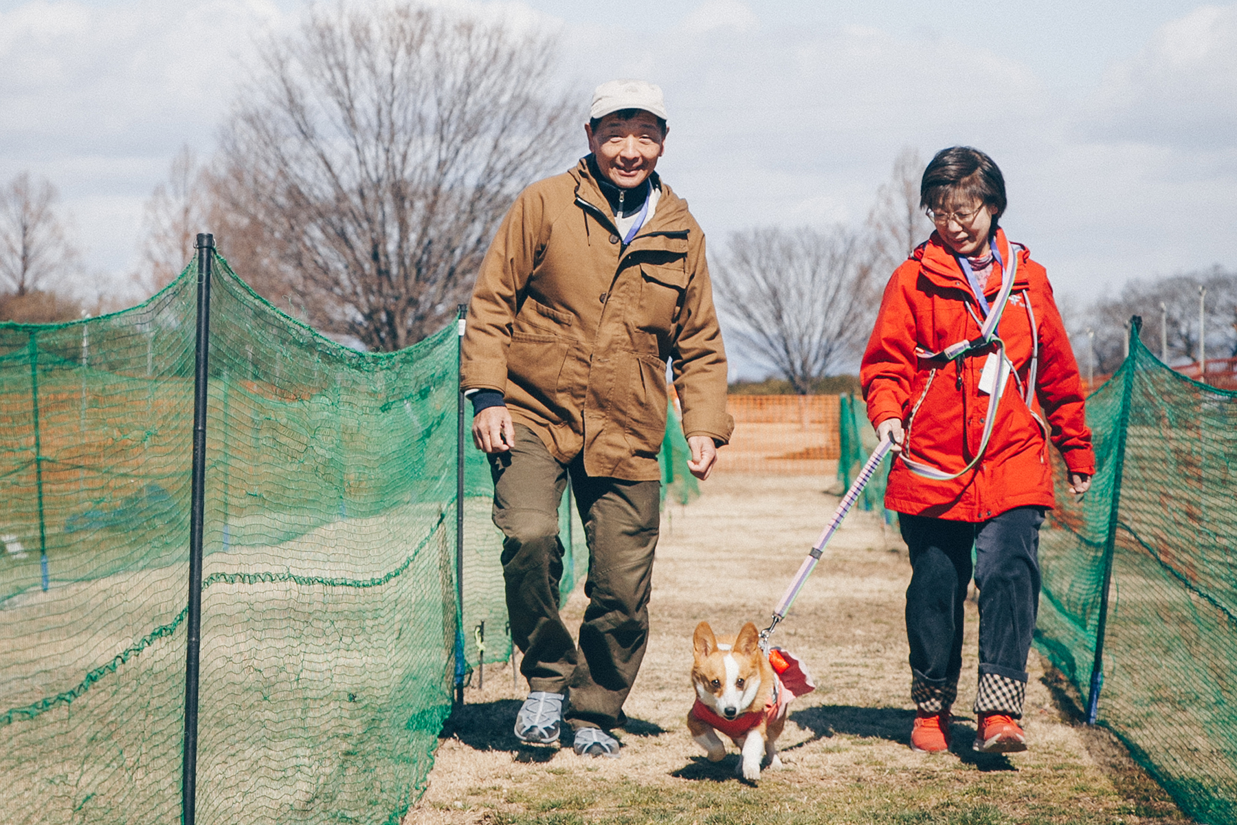 家族でダッシュ撮影(Border Collie)