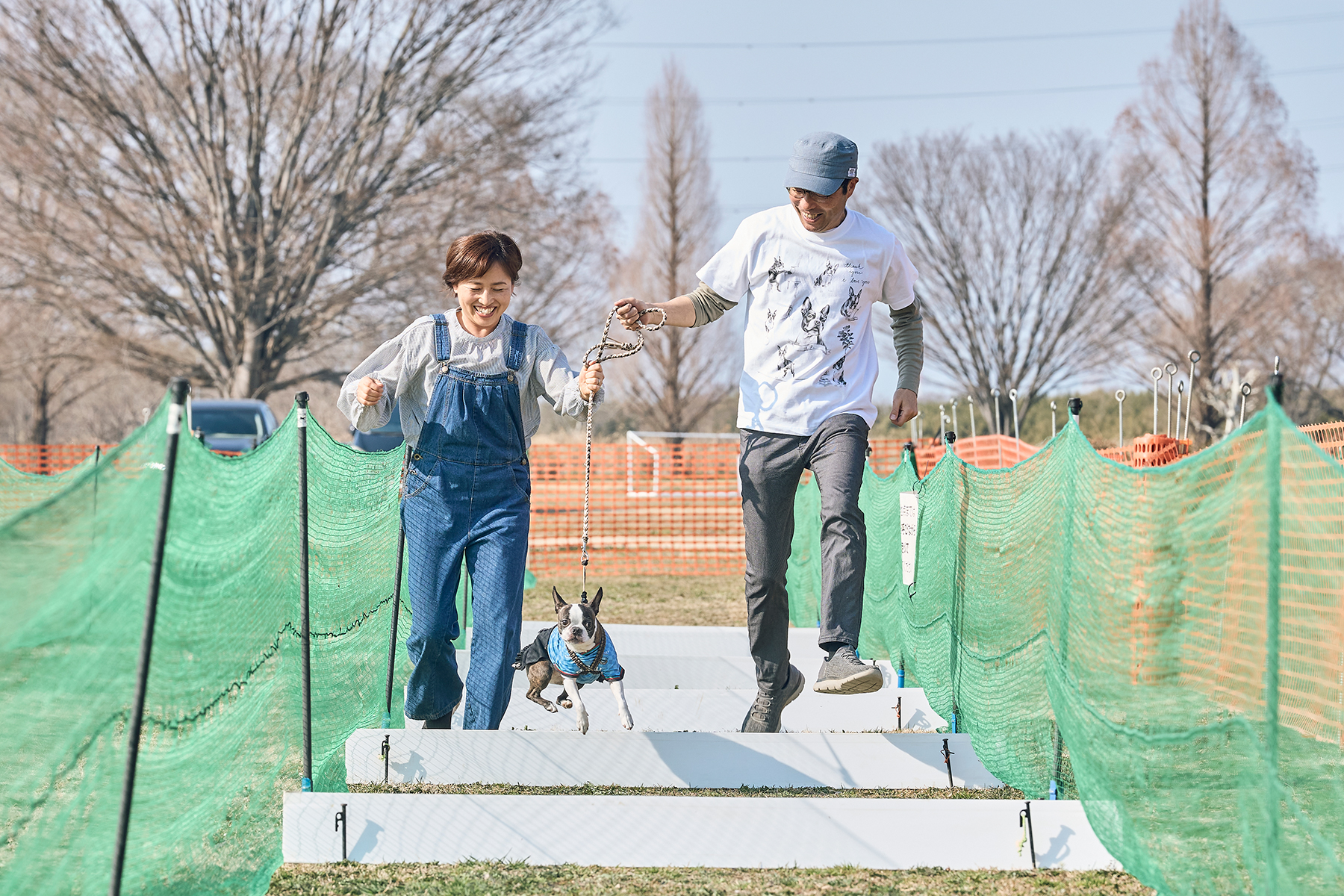 家族でダッシュ撮影(Boston Terrier 26 Spring)