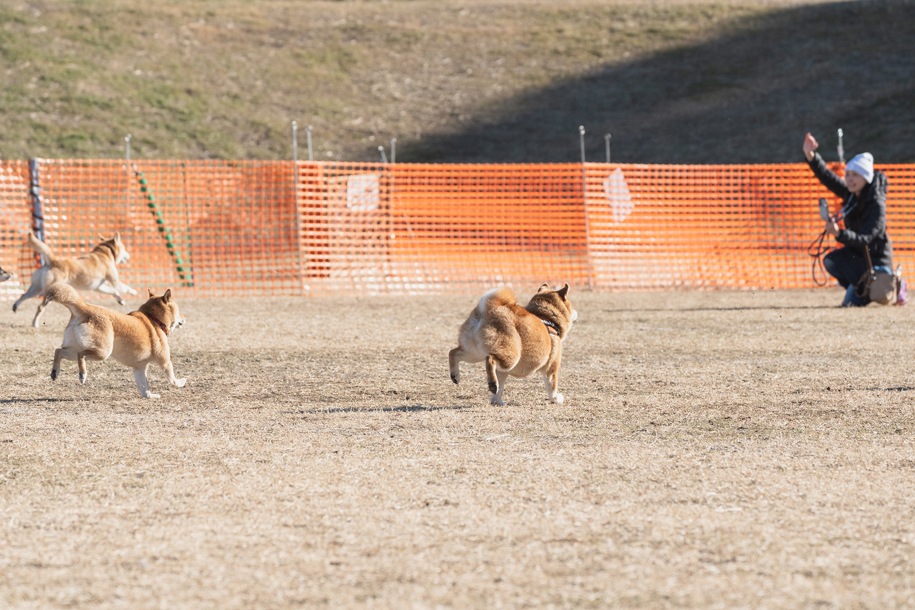 30mレース(Shiba 26 Spring)