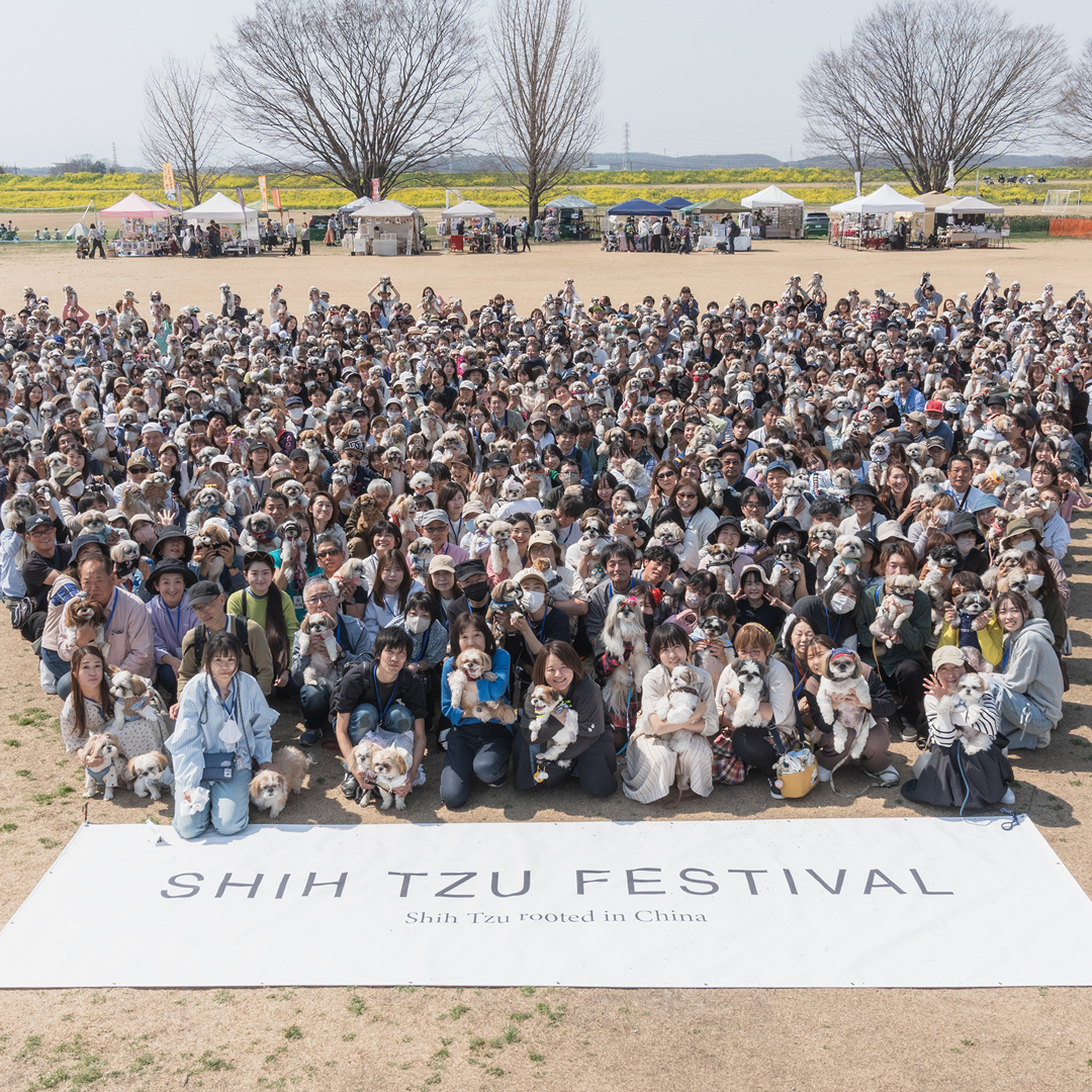 集合写真撮影(Shih Tzu 26 Spring)