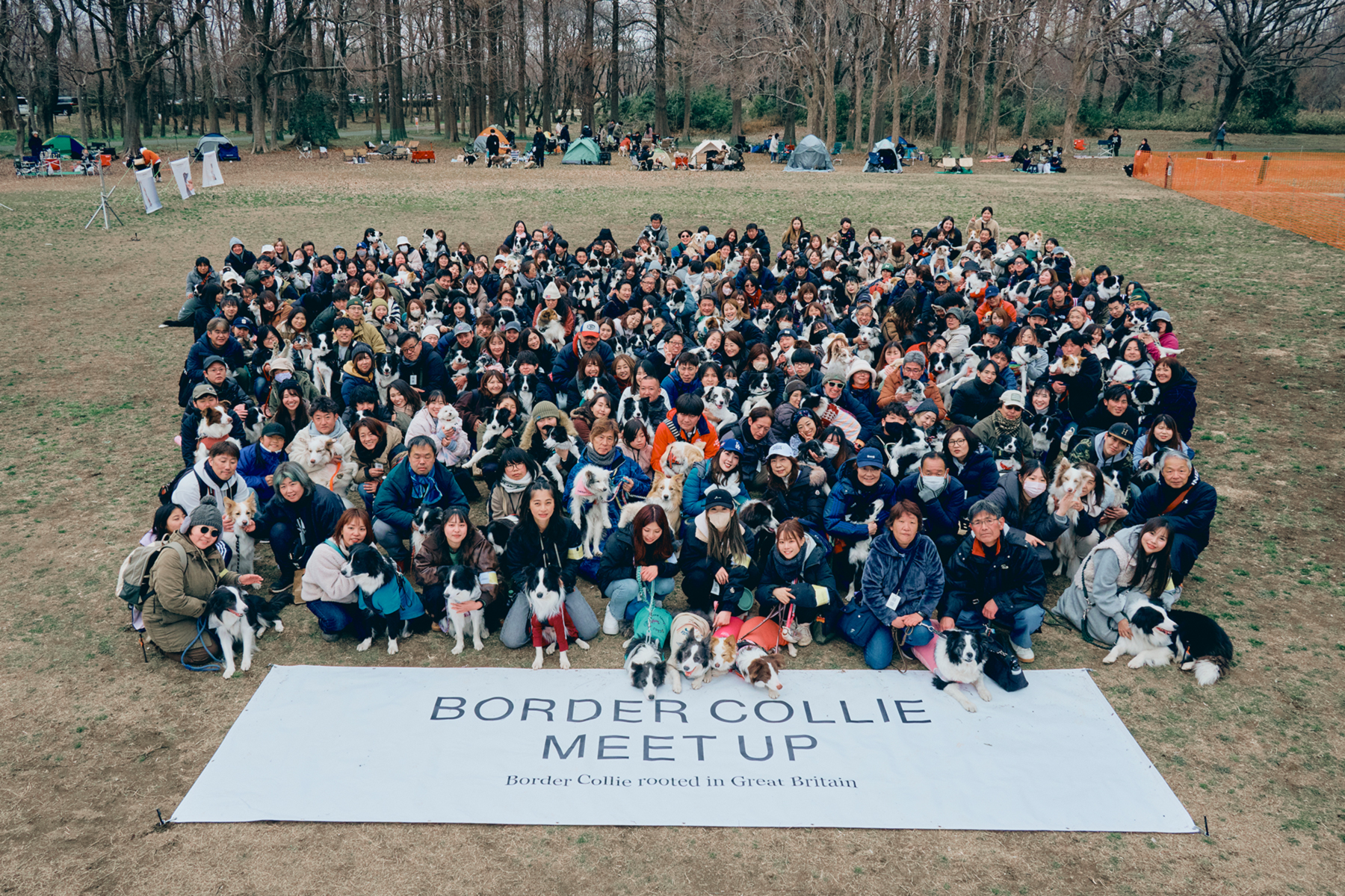 集合写真撮影(Border Collie)