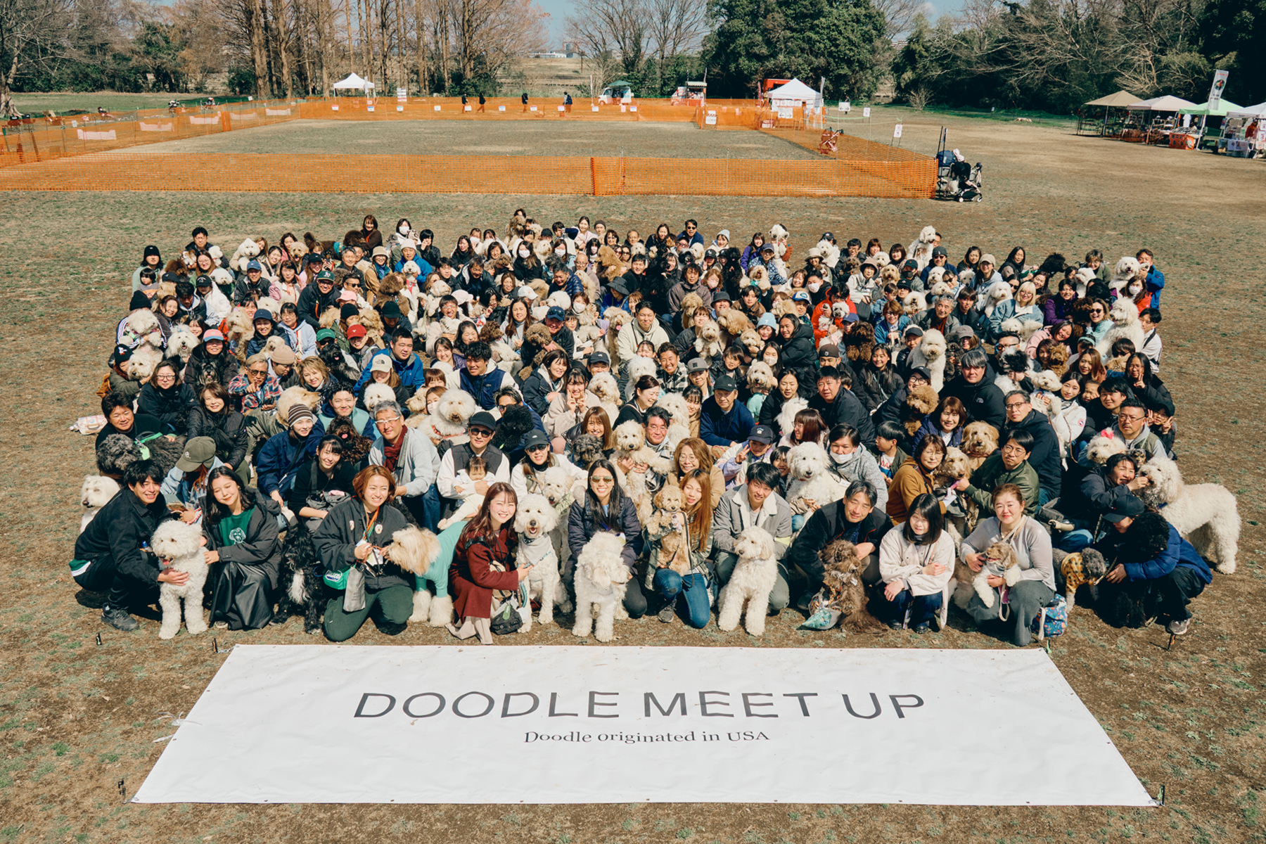 集合写真撮影(Australian Labradoodle)