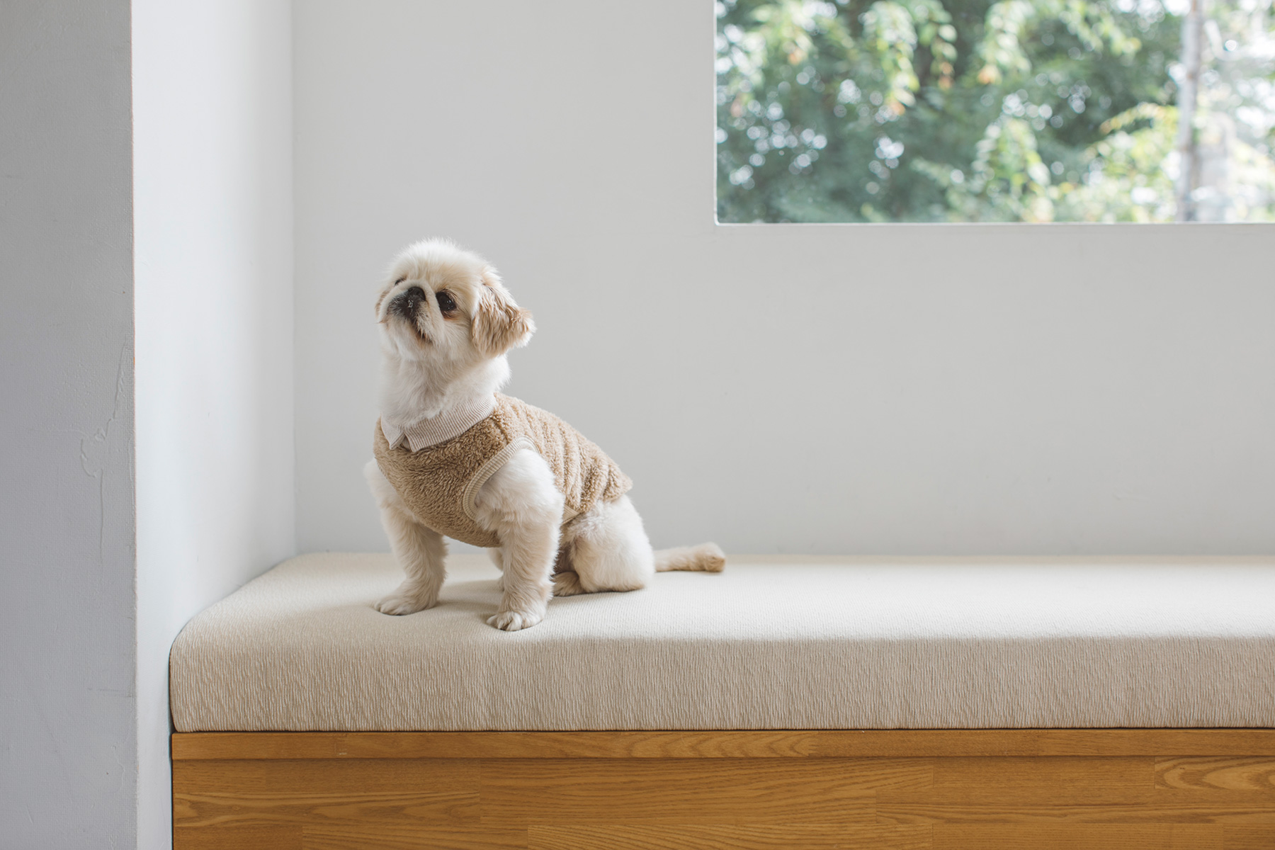 Dog wear | GALLERY | フリーステッチ free stitch