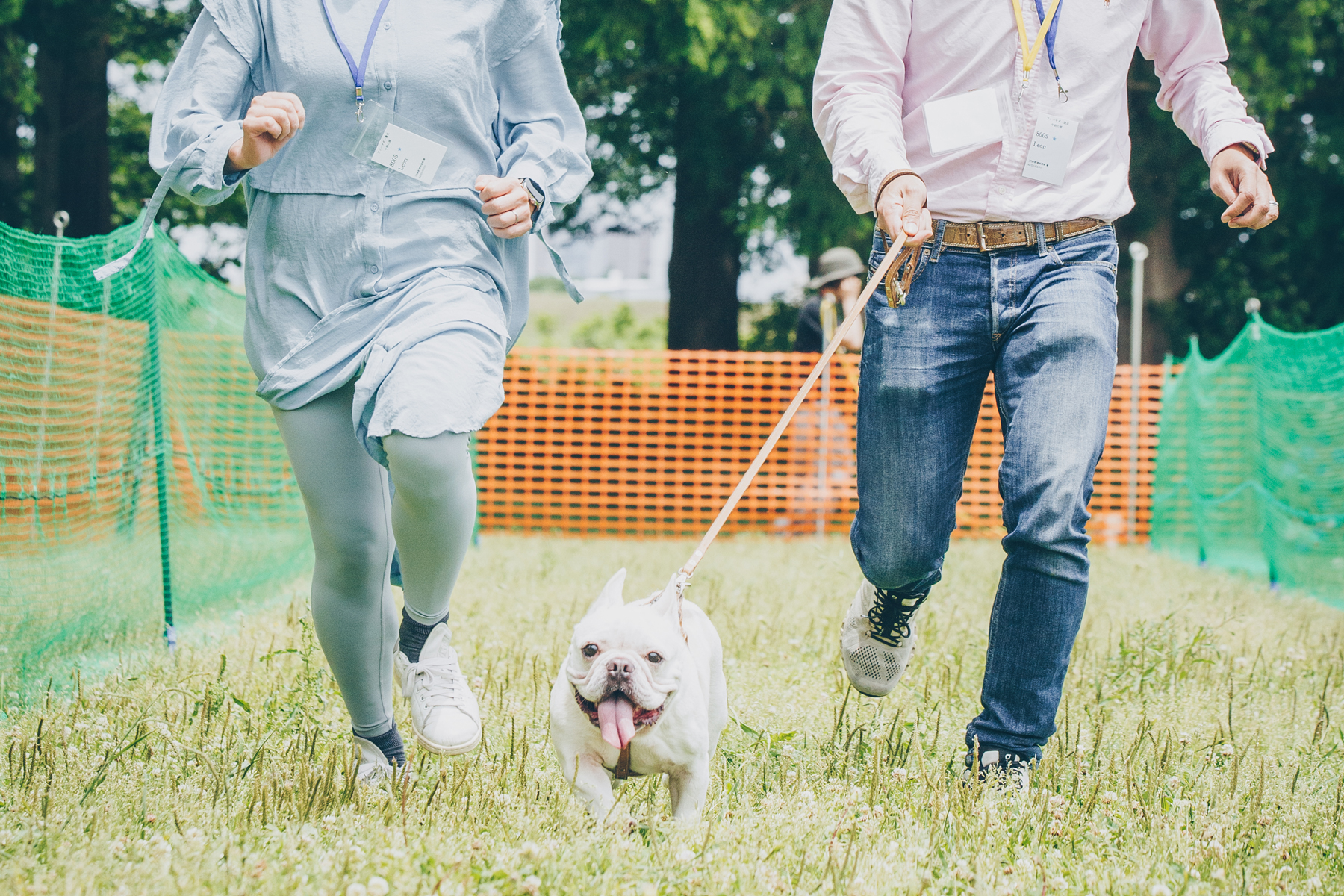 家族でダッシュ撮影(French Bulldog)