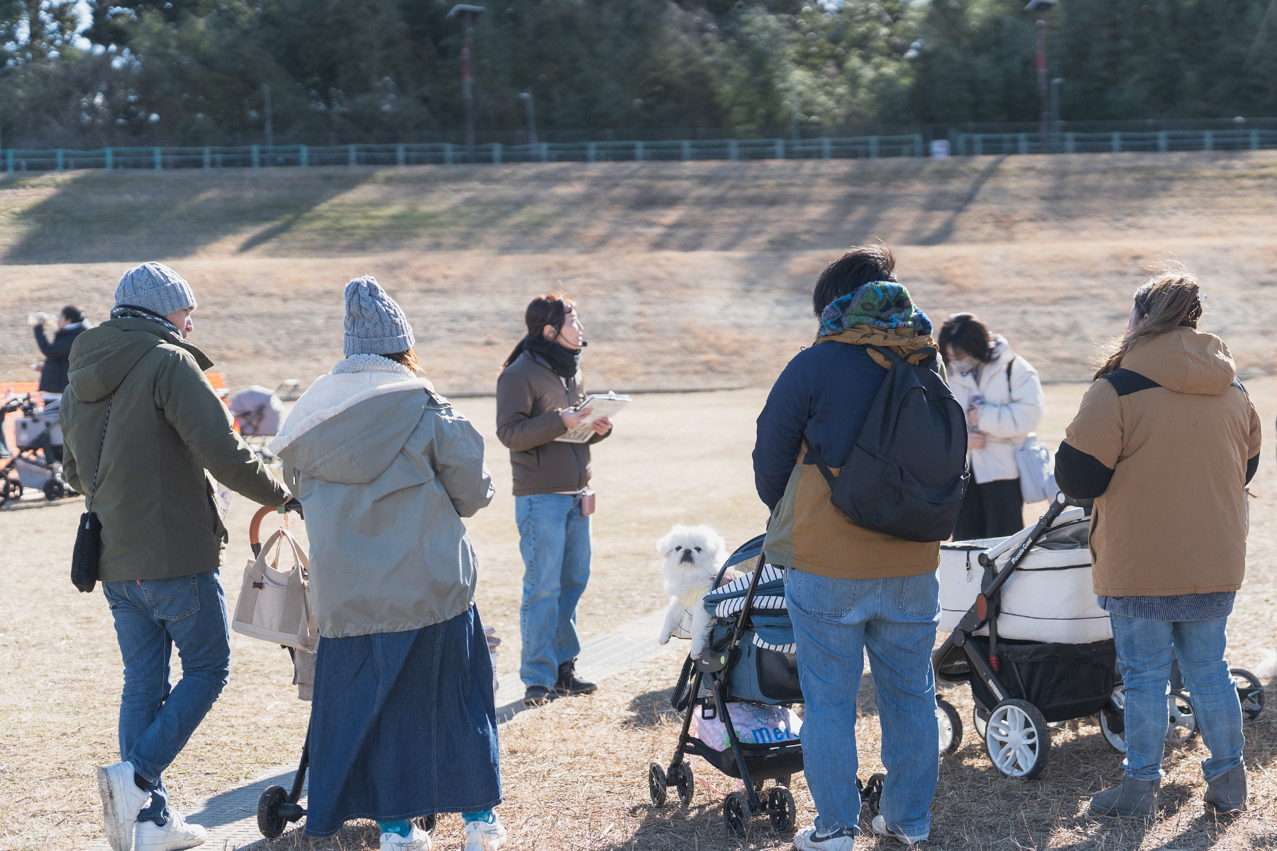 フィールドコンテンツ紹介(Pekingese)