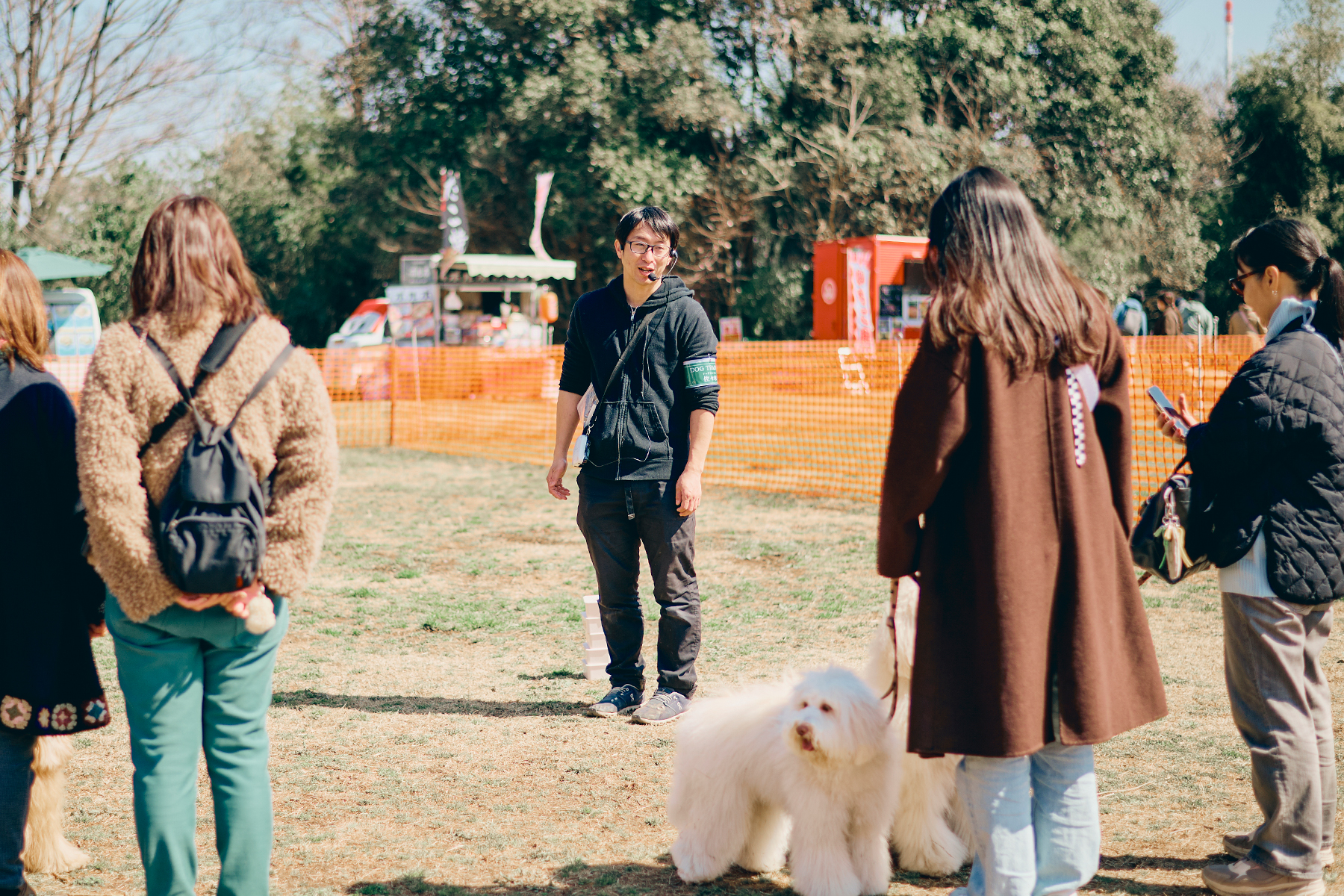 フィールドコンテンツ紹介(Australian Labradoodle)