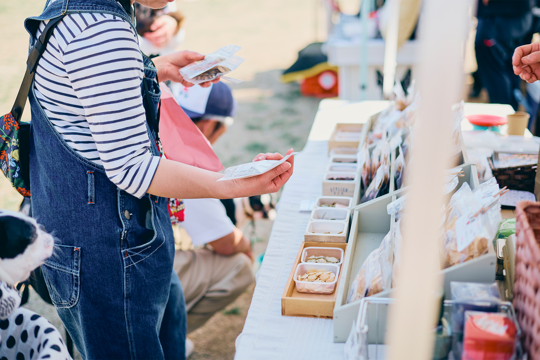 出店者(Boston Terrier Spring)