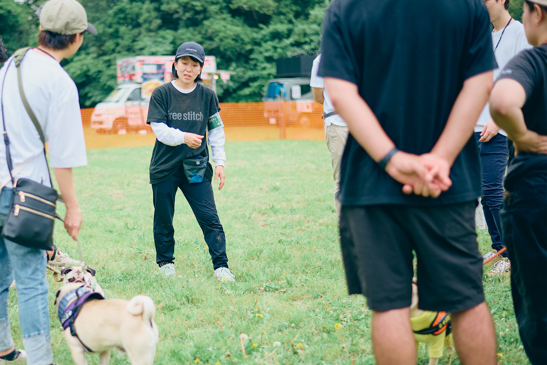 フィールドコンテンツ紹介(Pug)