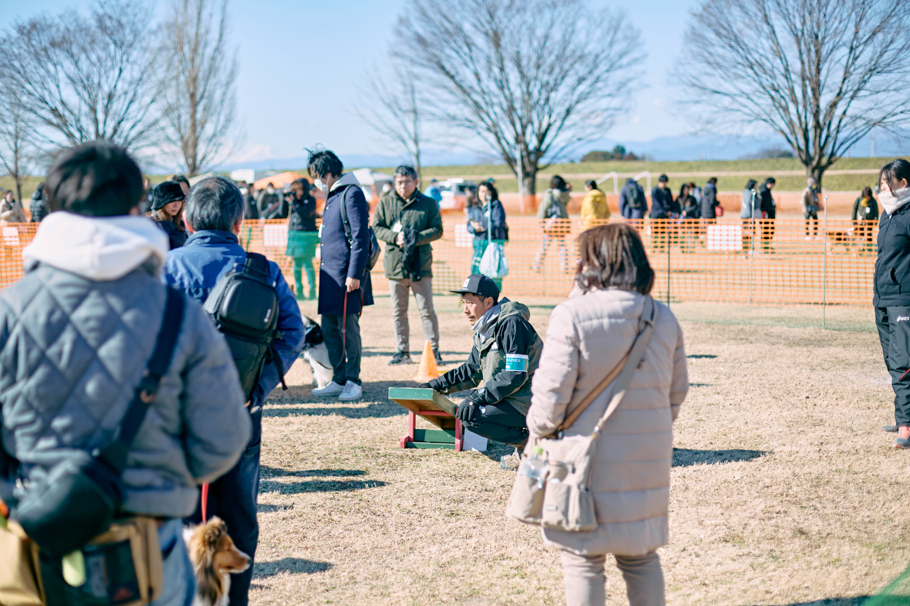 フィールドコンテンツ紹介(Shetland Sheepdog)