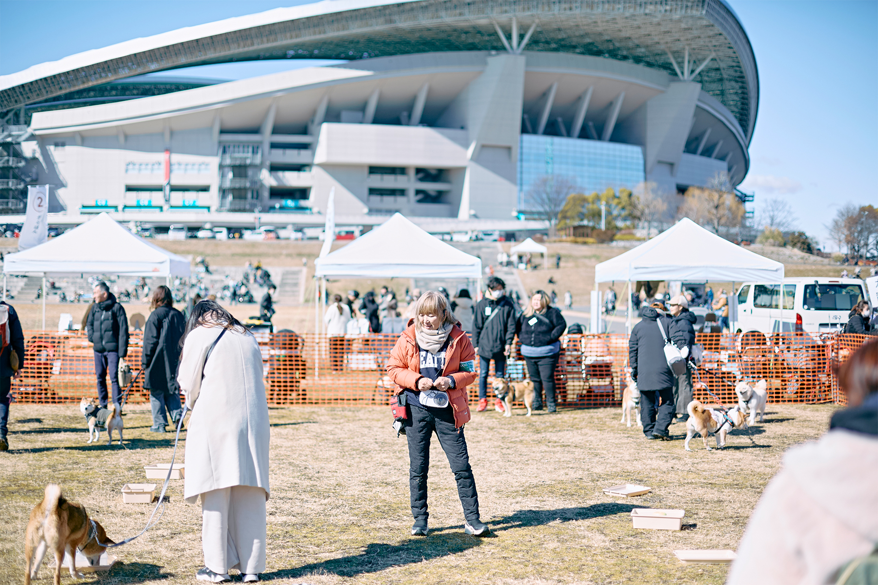 フィールドコンテンツ紹介(Shiba Spring)
