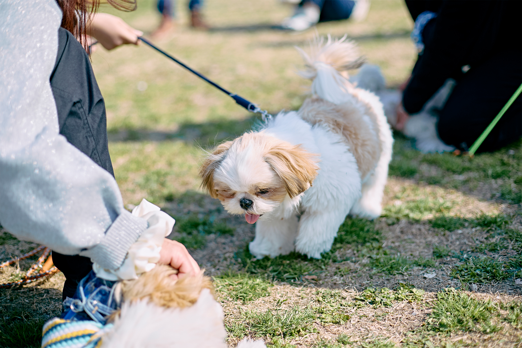 愛犬と学ぶ拾い食い対策セミナー
