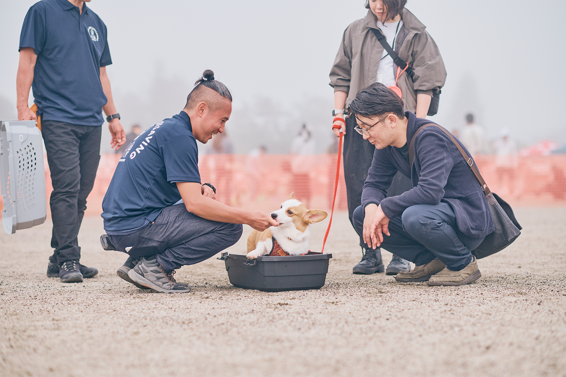 プロが教える！愛犬と一緒に備える防災・避難訓練