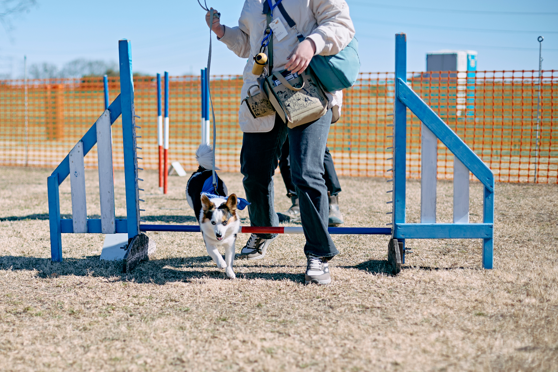 フィールドコンテンツ紹介(Corgi Spring)