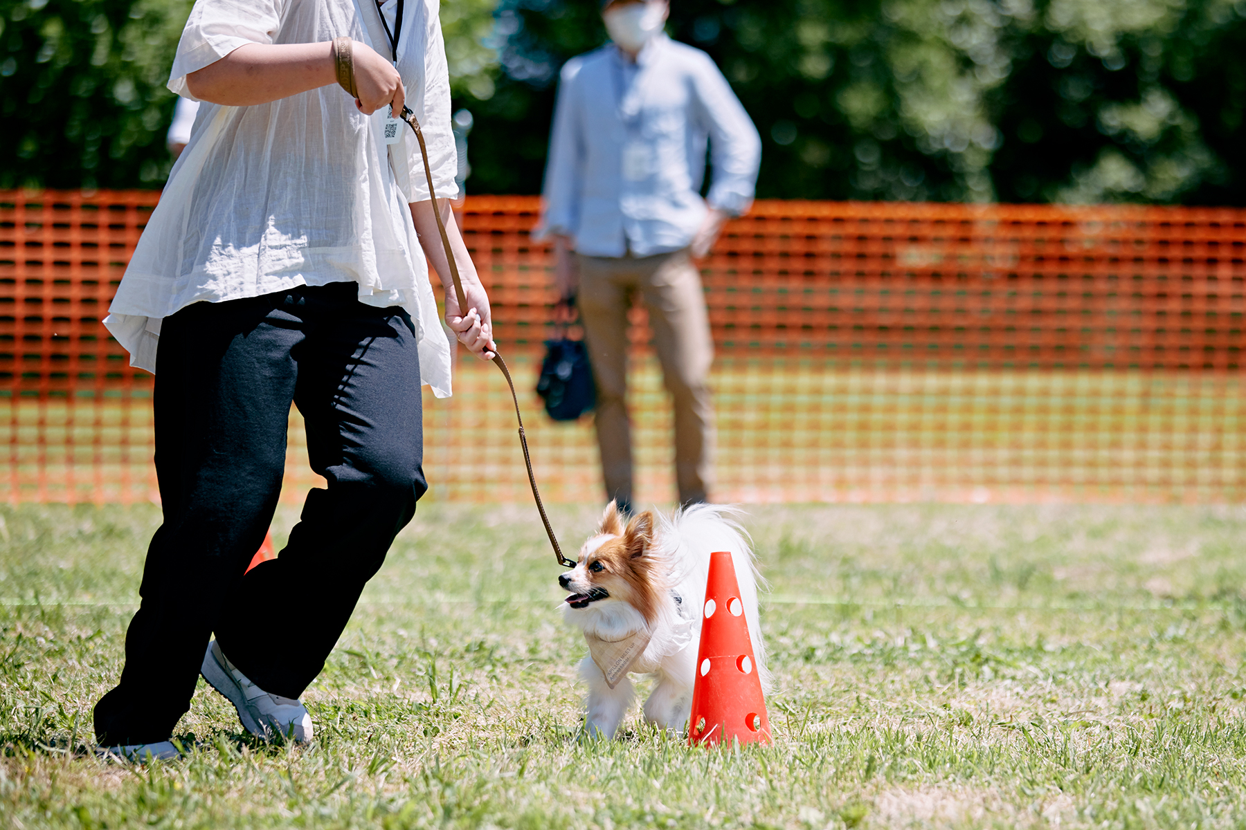 フィールドコンテンツ紹介(Papillon)