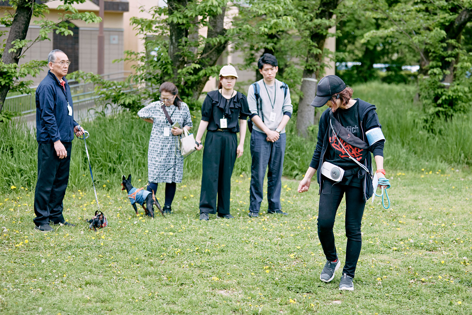 フィールドコンテンツ紹介(Pinscher)