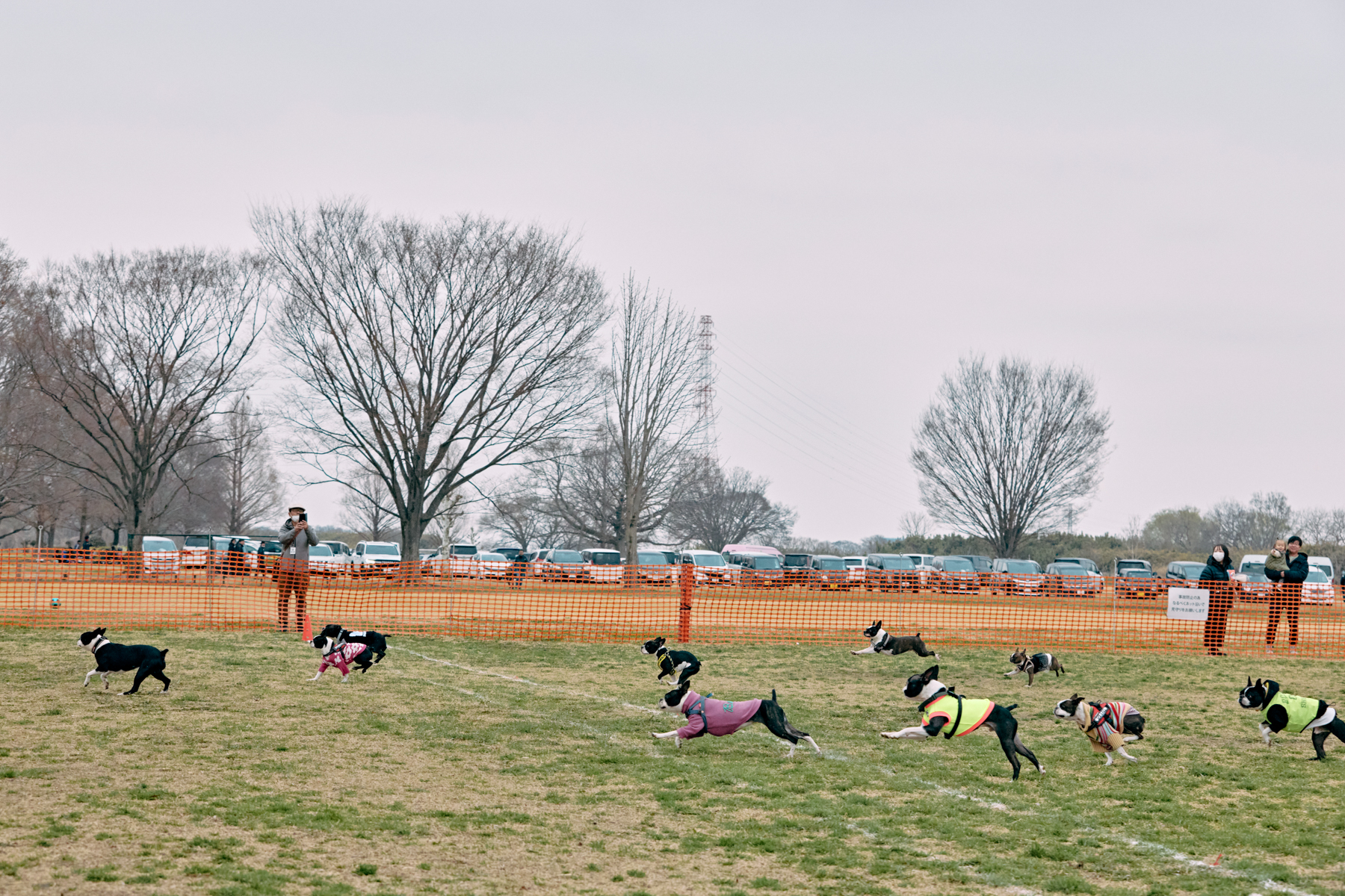 30mレース(Boston 26 Autumn)