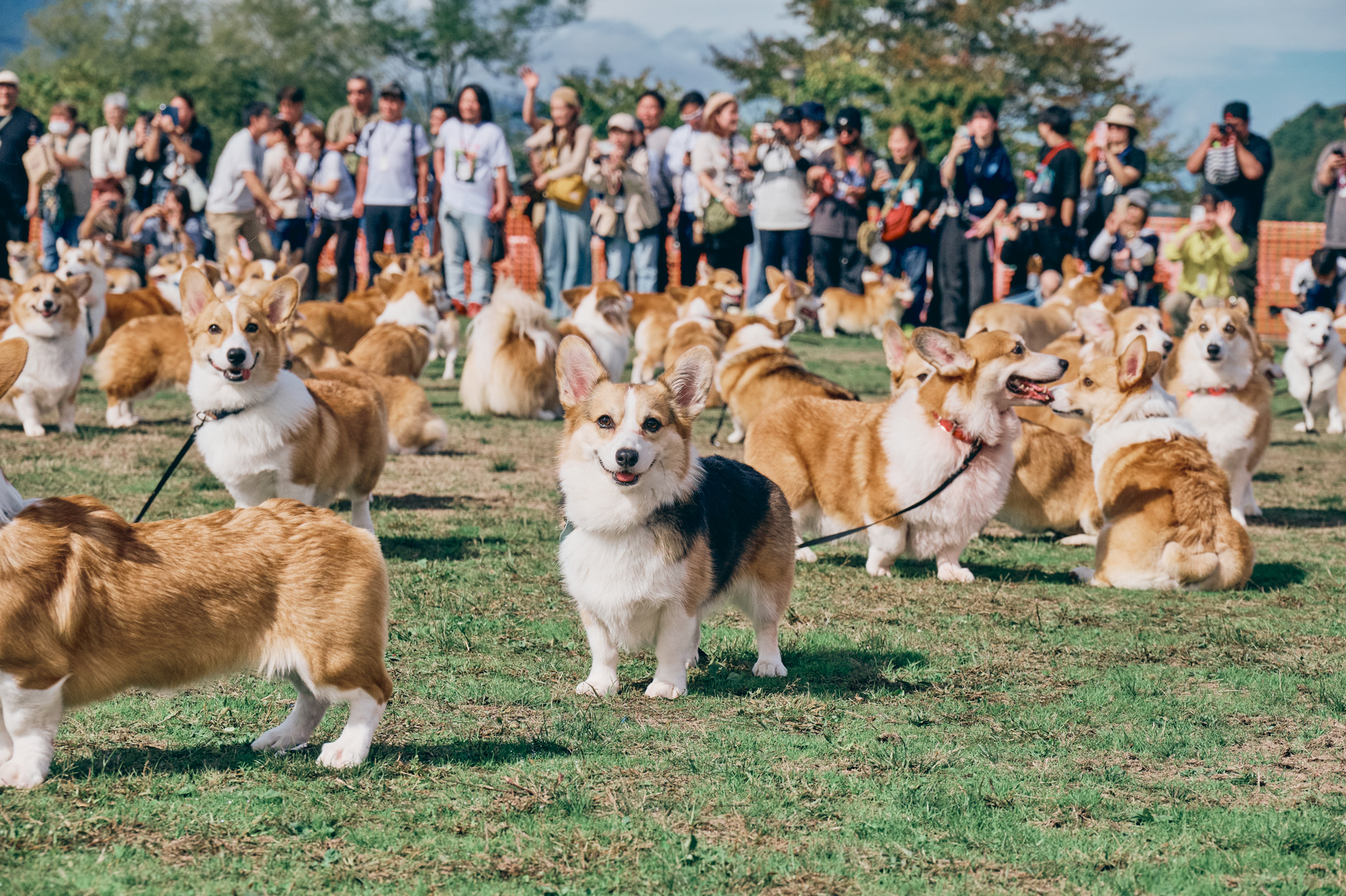 Meet-up festivals for 2026 Autumn / Winter