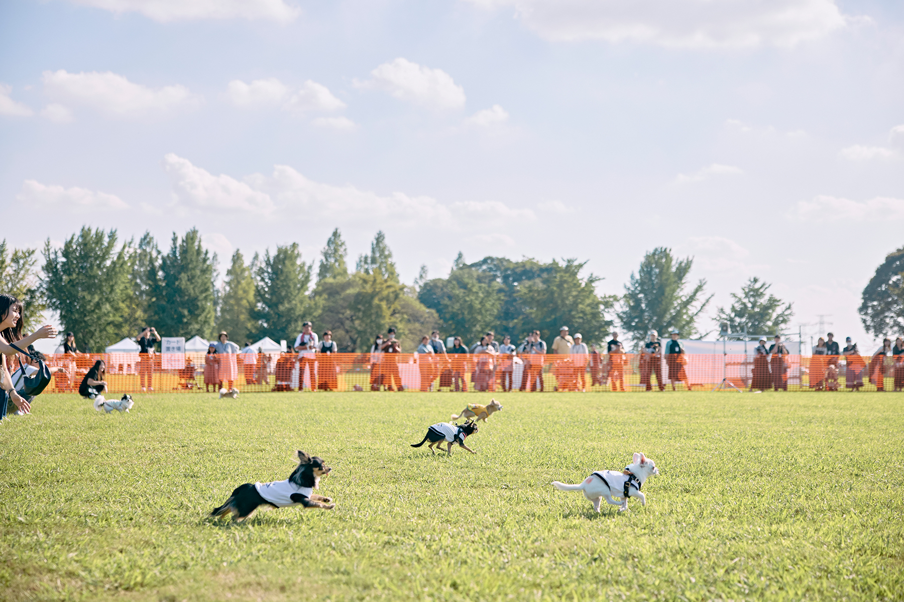 30mレース(Chihuahua)